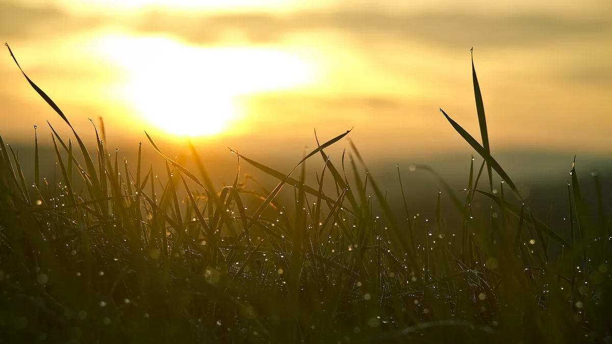 Frau beim Neubeginn nach Scheidung